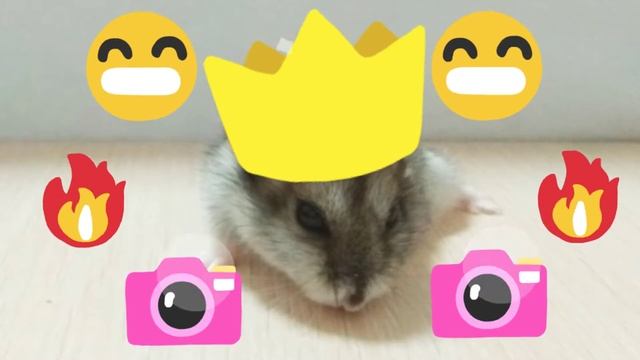 песня (хома) 😀😀😀😀😀😀😀😀😀😀😀😀😀😀😀😀😀😀😀 смотреть онлайн