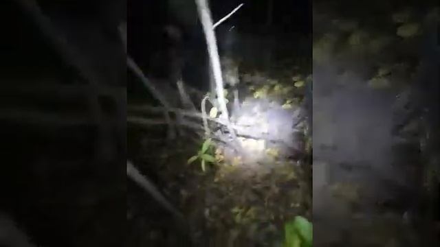 Охота на барсука 2017 смотреть онлайн