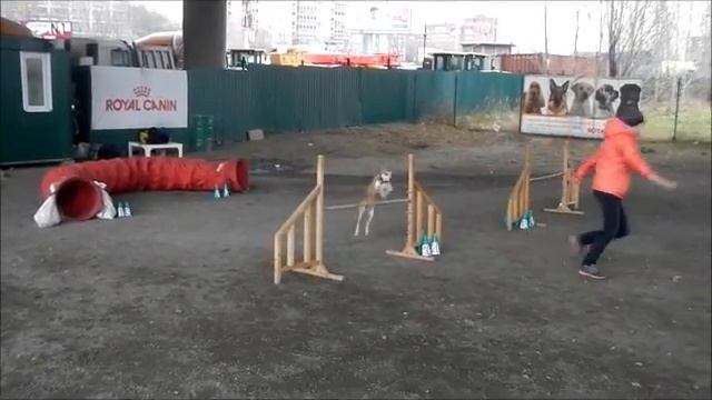трень 02 11 13 Алена и Альфа 1 смотреть онлайн