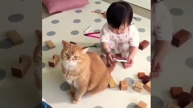 Рыжий кот играет с ребёнком Video with cat Red cat playing with a child смотреть онлайн