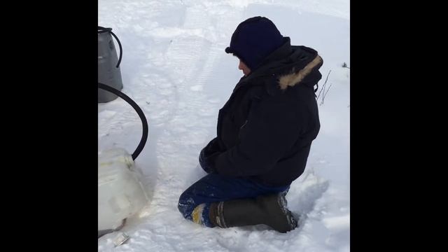 #Север# Наловили чертовский много окуня решили закоптить часть #1 смотреть онлайн