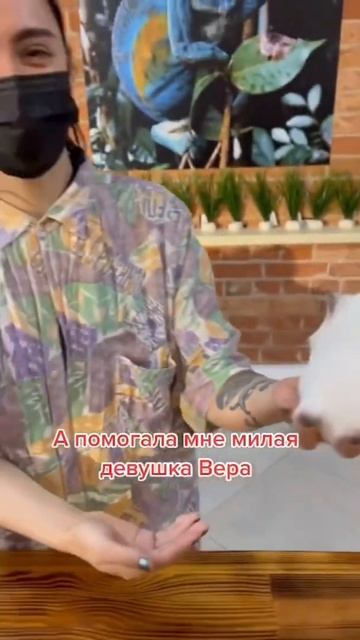 Купил свинку для подписчика! Пишите, что купить?)) смотреть онлайн