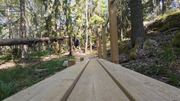 Nike Pegasus Trail 5