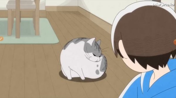 странный кот аниме серия 1