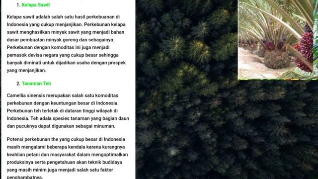 KBTKIA 29: Perbedaan Kebun Dan Perkebunan