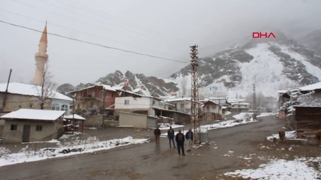 Erzurum'da uçamayan kartal insanlara sığındı смотреть онлайн