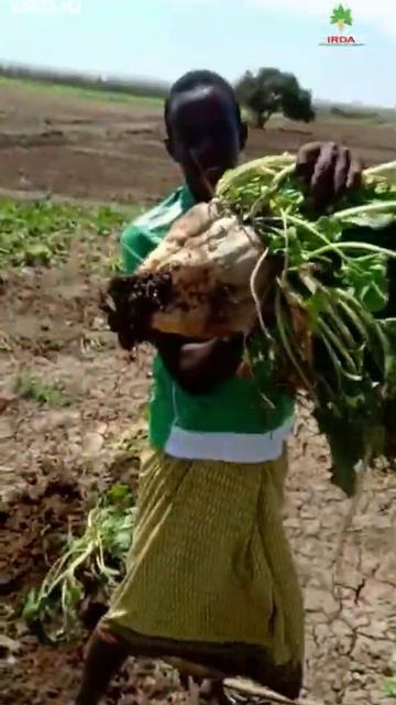 IRDA in Somalia смотреть онлайн