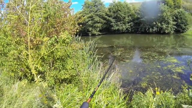 Найкращі умови для ловлі кленя (Головень, голавль) р.Збруч смотреть онлайн