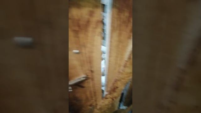 Начинающий фермер Саша Вадимич. смотреть онлайн