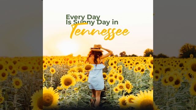 Your the Only One in My Dreams смотреть онлайн