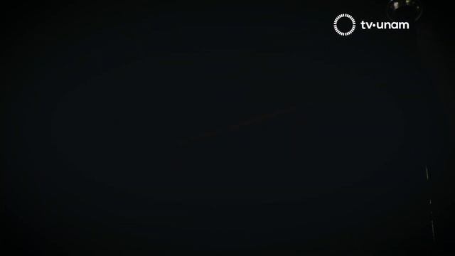 Vindictas. Minotauromaquia: crónica de un desencuentro. Fragmento смотреть онлайн