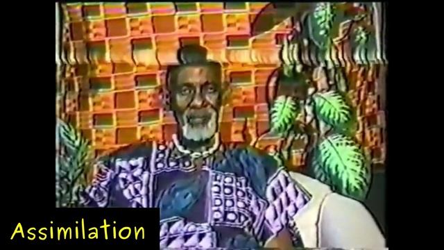 DR SEBI ON MINERAL ASSIMILATION смотреть онлайн