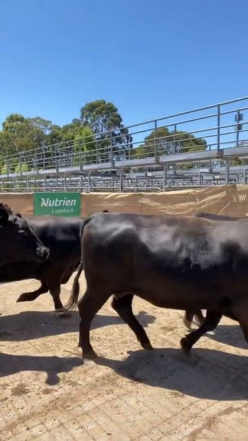 109 смотреть онлайн