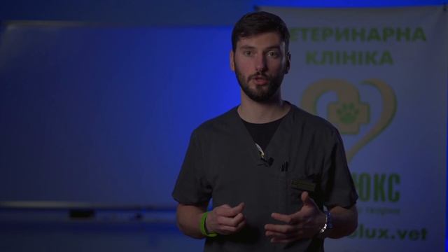 Чи можна годувати тварин кістками? | ЗООЛЮКС смотреть онлайн