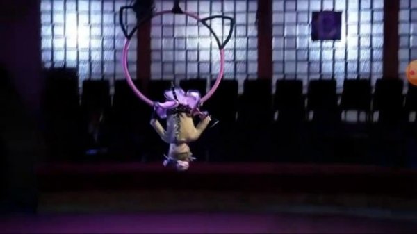 Серебрякова Алёна,5 лет,воздушная гимнастика на кольце