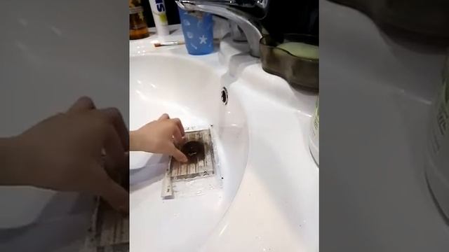 Я сажаю шпинат!!! смотреть онлайн