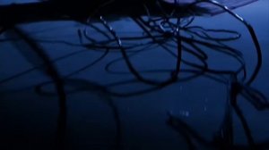 железный дровосек 1 час @DWAcinéma