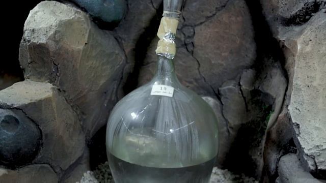 Taif Roses смотреть онлайн
