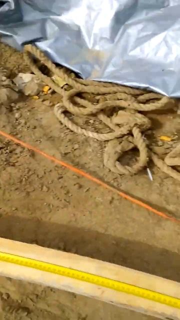 убийца мух смотреть онлайн