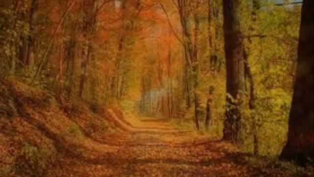 ЛИСТЬЯ ЖЕЛТЫЕ МЕДЛЕННО ПАДАЮТ,В НАШЕМ СТАРОМ ЗАБЫТОМ САДУ... смотреть онлайн