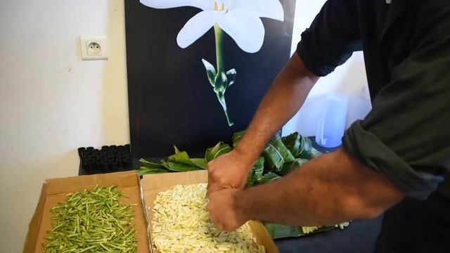 Selección de flores смотреть онлайн