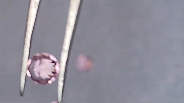 Рубеллит Нигерия 6. 4*2.6; 3.6*2.15; 3.5*2.12, вес 0.65 кт. Не больш. различ. в полутоне и размеры смотреть онлайн