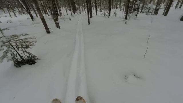 Закрытие путика Последний трофей Зверь слегка зашевелился появились следы зайца и соболя Все ждут смотреть онлайн