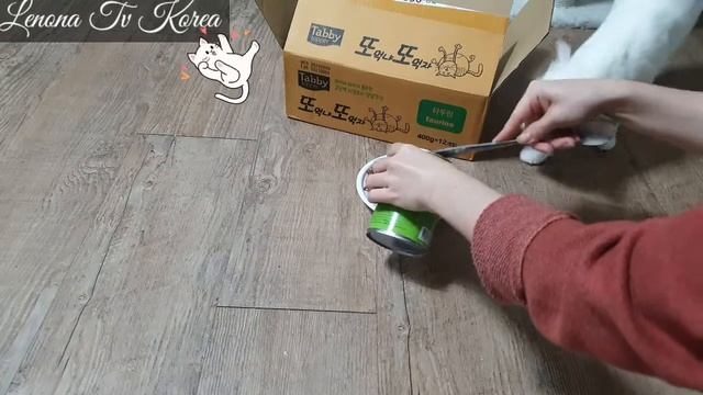 MUSHUKLAR UCHUN MAZZALI OVQAT ^^Lucy♡ 🐈 😻 смотреть онлайн