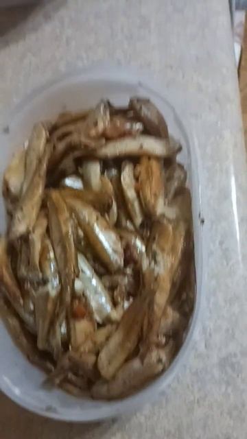 ШПРОТЫ САМОДЕЛЬНЫЕ ОЧЕНЬ ВКУСНО#рекомендации #очень #лайк #подписка #shorst # смотреть онлайн