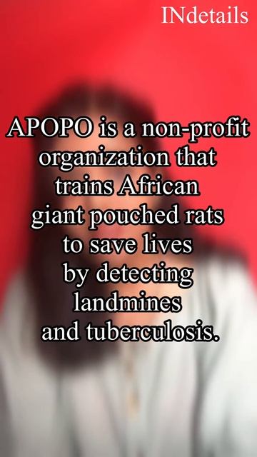 RATs can cure and detect TUBERCULOSIS!! #Shorts #Facts #science смотреть онлайн