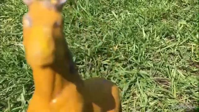 Шляйх сериал (ангел или демон ?) 1сезон 4серия смотреть онлайн