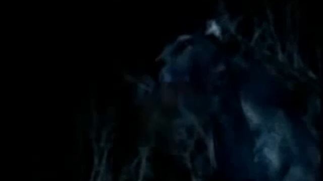 03 Eternal Frontier смотреть онлайн