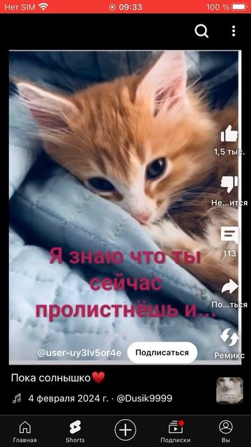 Кто любит котят поставь лайк смотреть онлайн