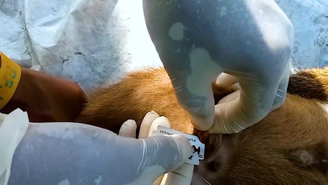 Comp 1 1 1 смотреть онлайн