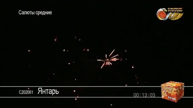 С202061 Янтарь 11 смотреть онлайн