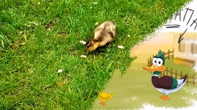 Домашний животные и их детей! Развивающие мультики для детей! смотреть онлайн