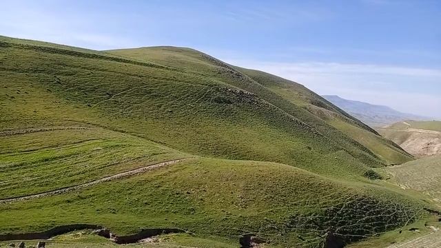 Бахoри Соли 2021 смотреть онлайн