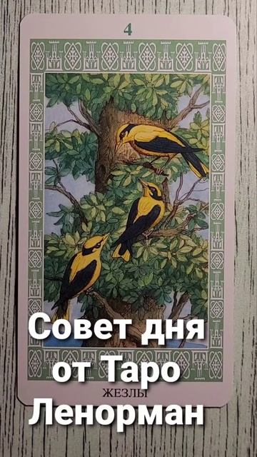 Совет дня от Таро Ленорман. Карта 4 жезлов. Птицы. смотреть онлайн