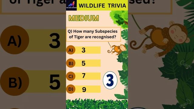 Roaring Fun: Test Your Knowledge with Exciting Animal Trivia #tiger # #fact #animal #quiz #trivia смотреть онлайн