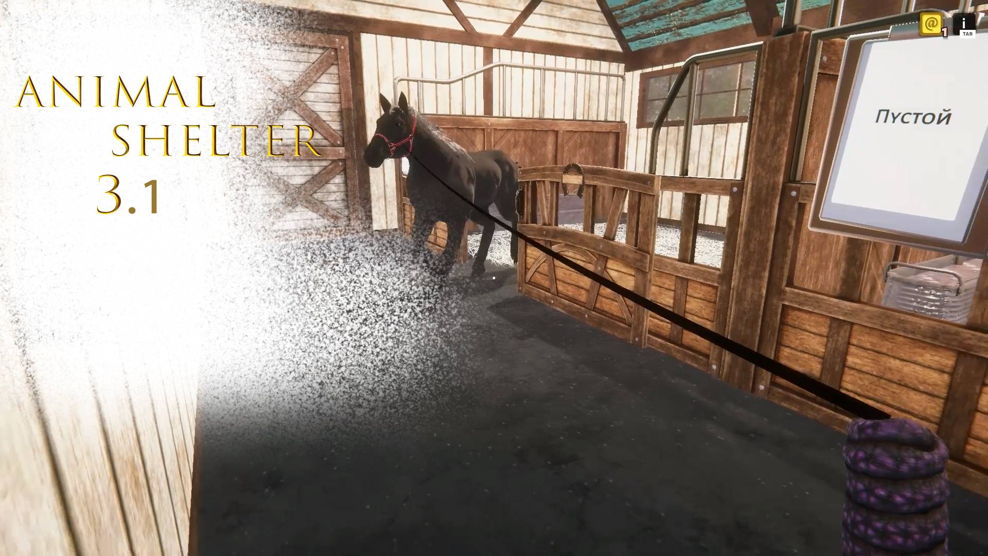 Ahulsh | Animal Shelter | #3.1