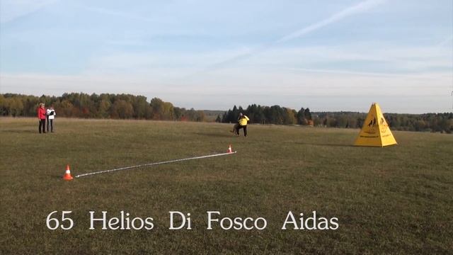 65 Helios Di Fosco Aidas (++-) смотреть онлайн