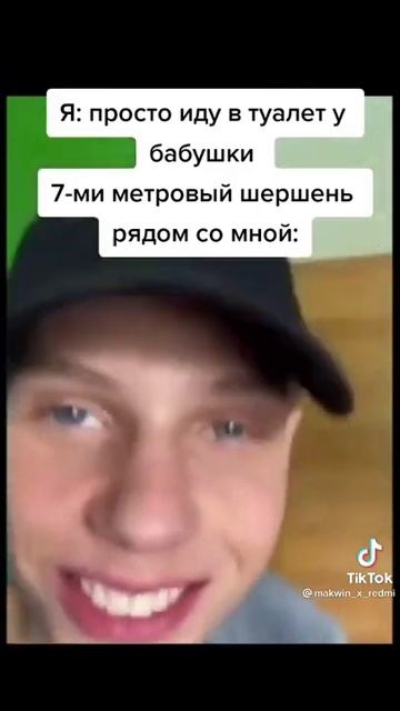 7-ми метровый шершень (мем) смотреть онлайн