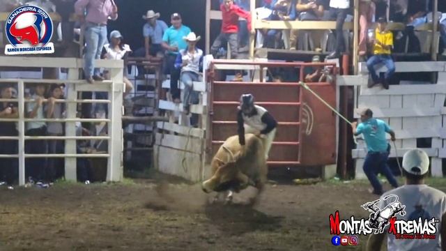 19 de junio de 2023 смотреть онлайн