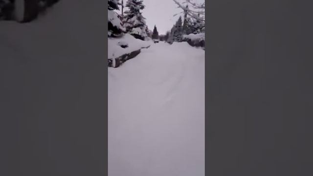 толятти смотреть онлайн