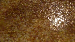 Wyndham Garden Lara 4* (Lara Family Club) Turkey #antalya #lara #turkey