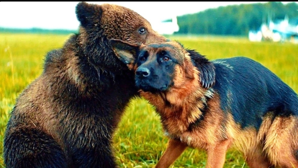 Пальма 2 — Новый трейлер (2025) Премьера (РФ) — 20 марта 2025 смотреть онлайн