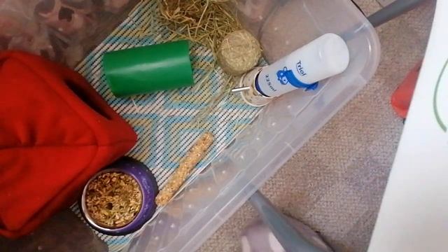 Обустраиваем домик Мии:) Обзор