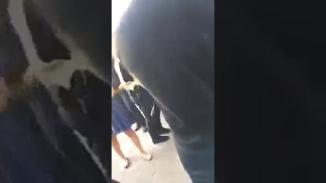 Задержание известного блогера zpsanek в прямом эфире смотреть онлайн