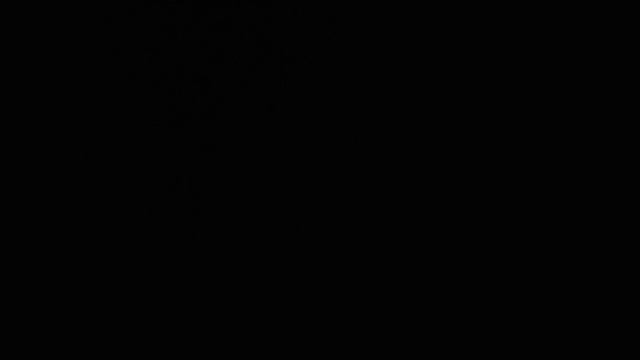 My kinkajou luna learning how to turn the lights on and off on command смотреть онлайн