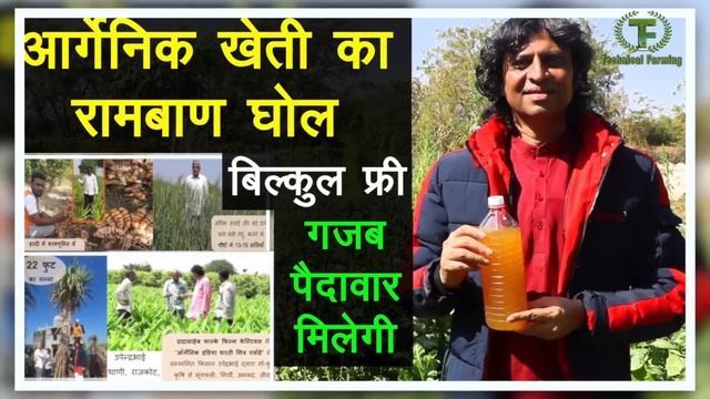 12 महीने का हरा चारा, फ्री मिलेगी पौध, सूखा चारा नहीं डालना पड़ेगा || Technical Farming || смотреть онлайн